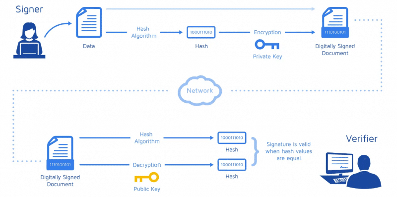 signer.png-1-800×397