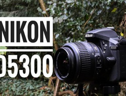 Nikon D3500 review