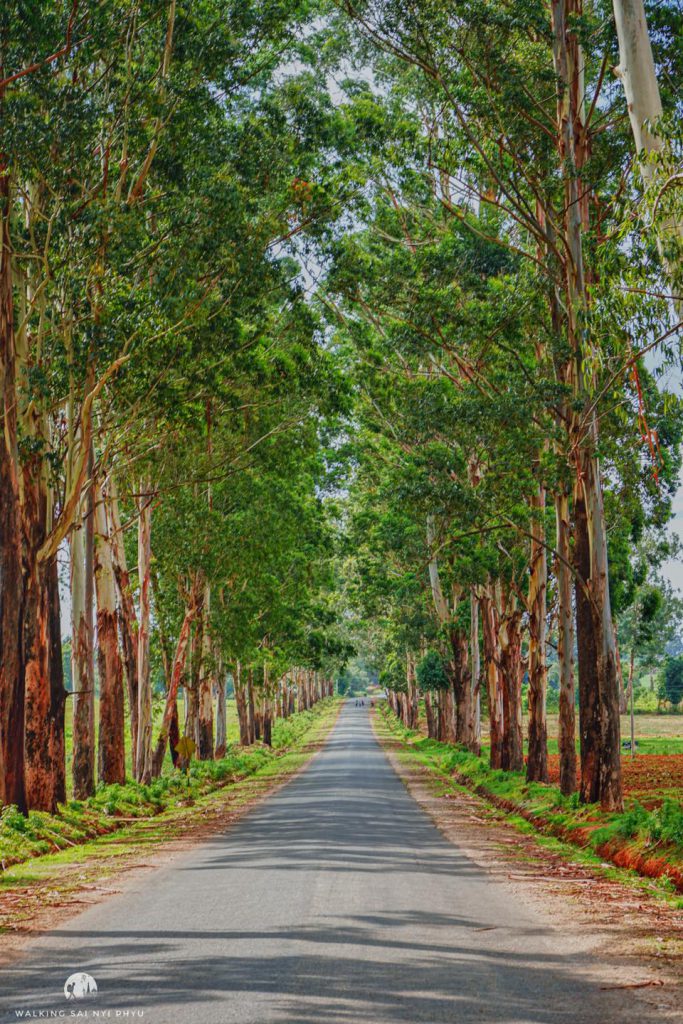 107506113_1436299179891829_2438233089789450508_n