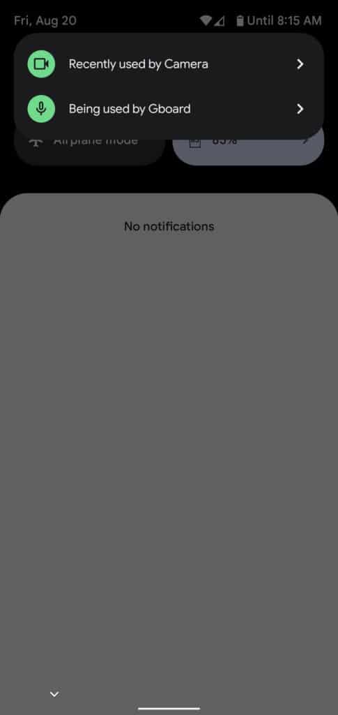 android_12_access_indicator_details_2