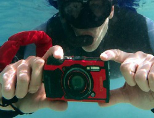 Olympus TG-6 review
